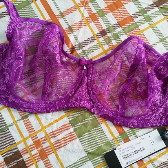 Fantasie Allegra vertical seam half cup 30E - Picture 3 of 3